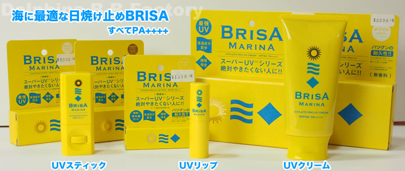 Ă~BRISA
